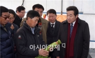 [포토]이낙연 전남도지사, 순천 친환경 미나리 작목반 방문