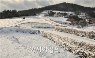 일본 한류팬들도 꼭 가고 싶은 섬, 완도 청산도