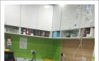 50대男, 쇠파이프로 진돗개를…네티즌, 가해자 구속 서명운동 중 