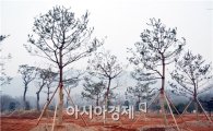 전남산림자원연구소, 나무은행 일자리 창출·예산 절감 효과 톡톡