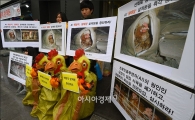 [포토]"'생매장', '살처분'을 즉각 중단하라"