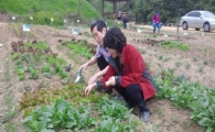 단 3만원에 누리는 농사체험…친환경 주말농장 분양