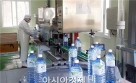 광양백운산고로쇠, 2월 1일부터 본격적인 채취 돌입
