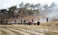 광주시 광산구, 산불방지 대책본부 운영