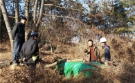 소나무재선충병 피해지 산림청이 직접 관리·감독