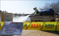 [포토]중랑천 AI 바이러스 확진