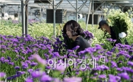[포토]봄을 여는 농부들