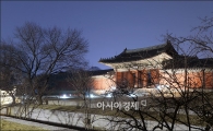 [포토]환하게 불밝힌 창경궁