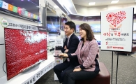 대형 TV 시장서 OLED TV 급성장