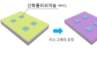 이황화몰리브데늄 단일층화…차세대 반도체 성큼