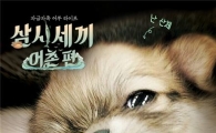 “‘산체’ 덕분에 장모치와와 가격 2배로 뛰었다”…애견숍서 인기 폭발