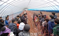 곡성군, 과수 영농현장 애로기술 찾아가서 해결