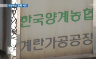 '폐기물 계란 재활용' 한국양계농협 대국민 사과, 뒤로는 제보자 압박중?