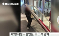 '제2롯데월드 출입문 이탈' 넘어지는 대형 유리문 손으로 받쳐