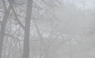 [날씨] 전국 맑음…오전 '짙은 안개·황사' 주의