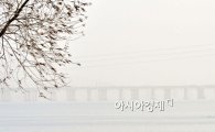 [포토]'서울시 황사주의보 발령'