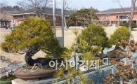 전남농업박물관에서 무료 분재교육 받으세요
