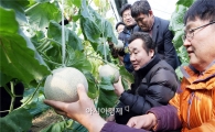 이낙연 전남도지사, 나주 세지 멜론 생산단지 방문