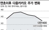 핀테크 수혜기대 꺾였나, 다음카카오↓