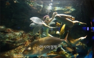 [포토]"새봄에는 수중 싱크로나이즈도 공연 보세요"