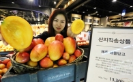 [포토]갤러리아百, 과일의 여왕 '애플망고' 국내산 출시