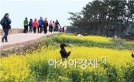 완도군, 2015청산도슬로우걷기축제 관광객 참여로 열린다