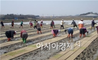 해남군, 우량 못자리 상토 72만포 공급