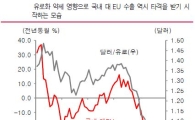 '1유로=1달러' 눈앞에..고민 깊어지는 한은