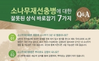 재선충병 잘못된 상식 7가지 바로잡고 부처합동방제