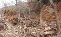 경기도 '산림재해예방'에 200억 투입한다