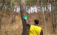 ‘NFC 전자예찰함’ 들여와 우량 소나무숲 보호