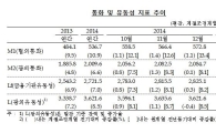 시중통화량, 3개월째 8%대 급증