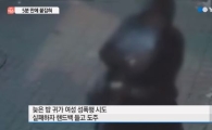 심야 귀갓길 女 성폭행 시도한 30대 구속…'전과 11범 수배범'