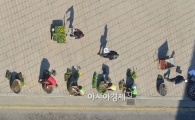 [포토]봄으로 가는 길 