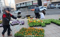 [포토]봄꽃 나갑니다~