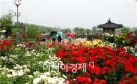 곡성군, 5월 세계장미축제 개최 준비에 박차