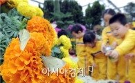 [포토]나비 보는 어린이들