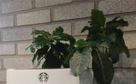 스타벅스, 충전시 환경기금 적립하는 '커피로 꽃 피다' 카드 출시