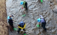 [포토]청계천 봄맞이 준비 