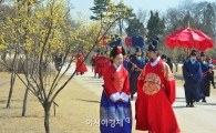 [포토]'산수유꽃이 어여쁘구나' 