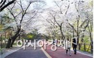 서울시, 대기가스 없는 남산 만든다…공청회 개최