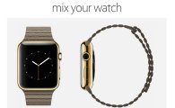"애플워치, 선주문 제품은 시계 줄 선택 못해"