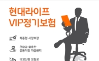 현대라이프, 맞춤형 보장 'VIP정기보험' 출시