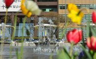 [포토]봄과 함께 돌아온 광화문광장 분수 