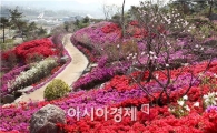 국가정원 제1호 순천만정원에서 피어나는 화려한 뷰티페스티벌 