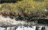암 경험자 자조모임 구례 꽃길 걸으며 힐링