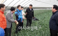 이낙연 전남도지사, 농민들에게 양파 수급 안정대책 동참 당부