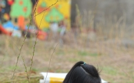 [포토]고사리손으로 나무 심어요 
