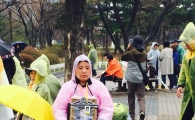 [르포]비 오는 여의도, 세월호와 봄꽃으로 갈라지다