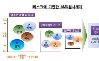 금감원, 자금세탁방지 검사 2금융권 확대…전담팀 2배↑